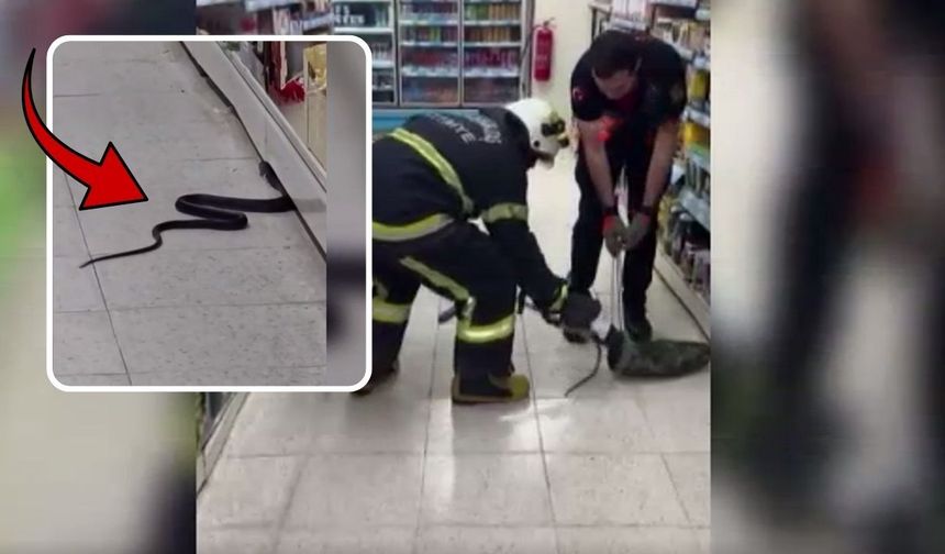 Kahramanmaraş'ta markete giren yılanı itfaiye çıkardı