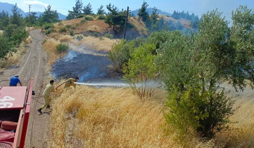 Kahramanmaraş’ta bahçe yangını kontrol altına alındı