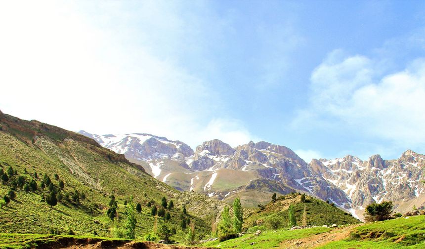 Kahramanmaraş’ta solunum yolu hastalıkları için 160 yıldır kullanılıyor