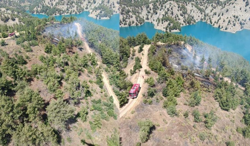 Kahramanmaraş'ta Orman Yangını Büyümeden Söndürüldü