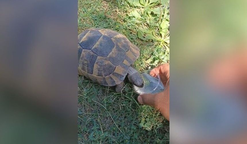 Kahramanmaraşlı Askeri Personelden Vefa Örneği