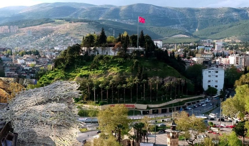 Kahramanmaraş Dağlarında Yetişiyor, Demeti 50 TL’den Satılıyor