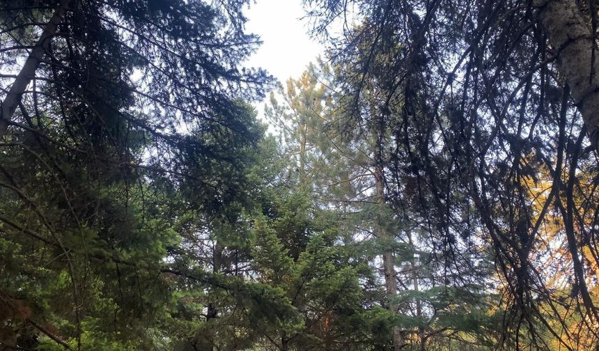 Kahramanmaraş yanıyor, orası serinliyor, vatandaşlar akın ediyor