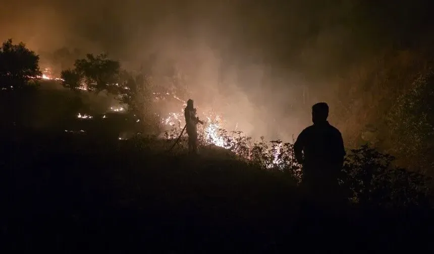 Orman Yangınında Omuz Omuza Mücadele! Adıyaman'dan Kahramanmaraş'a Teşekkür