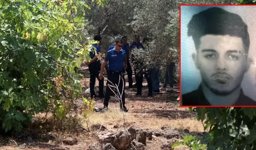 Zeytinlikte elleri arkadan bağlı cesedi bulundu