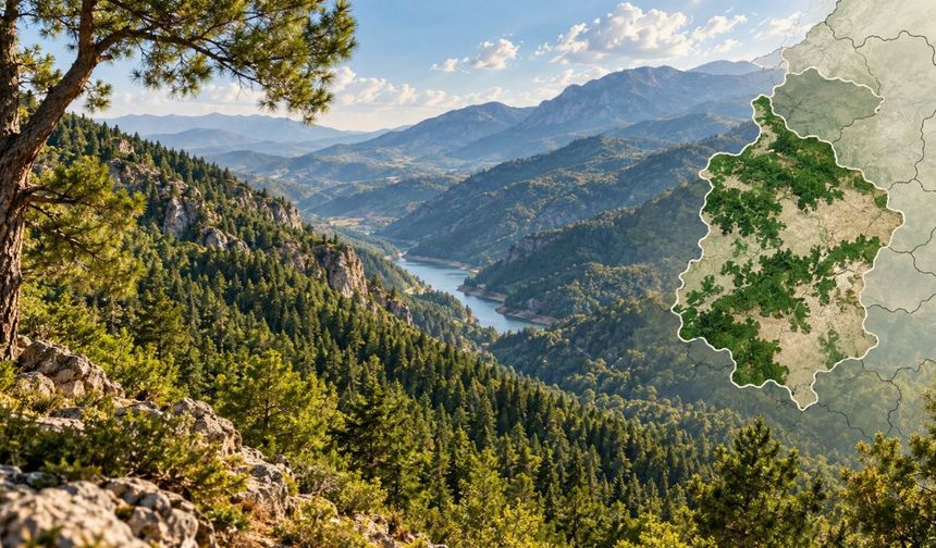 Kahramanmaraş’ın Orman Varlığı Dikkat Çekti