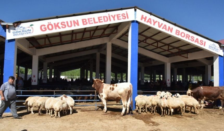 Göksun’da Hayvan Borsası geçici süreyle kapatıldı
