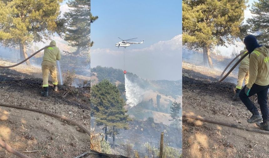 Kahramanmaraş’ta Orman Yangını: Ekipler Havadan ve Karadan Müdahale Ediyor