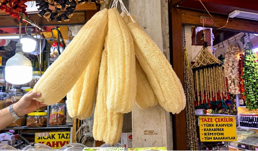 Kahramanmaraş’ta Kabak Lifi Kişisel Bakımın Doğal Alternatifi Oldu
