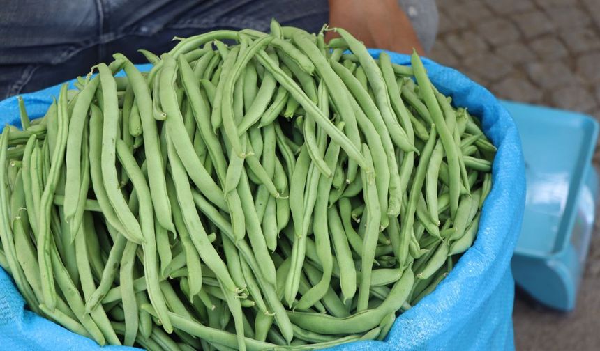 Kahramanmaraş’ta Turtul Fasulyenin kilosu 80 TL