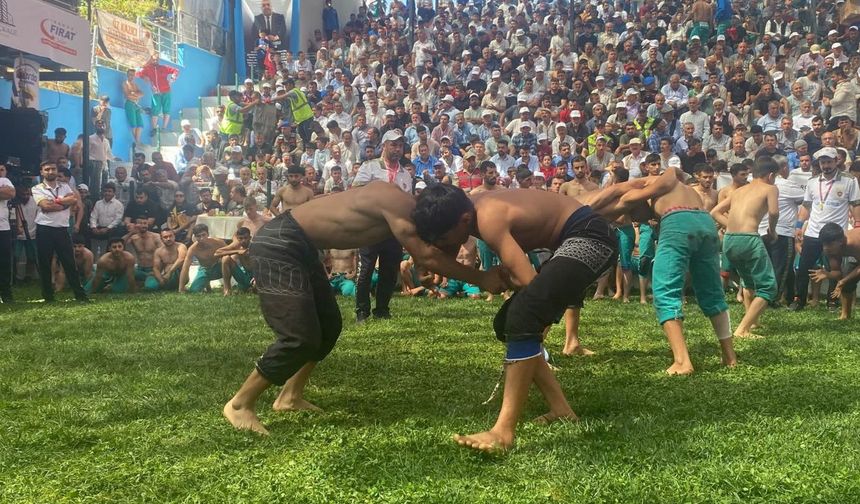 Bertiz’de pehlivanlar er meydanına çıktı