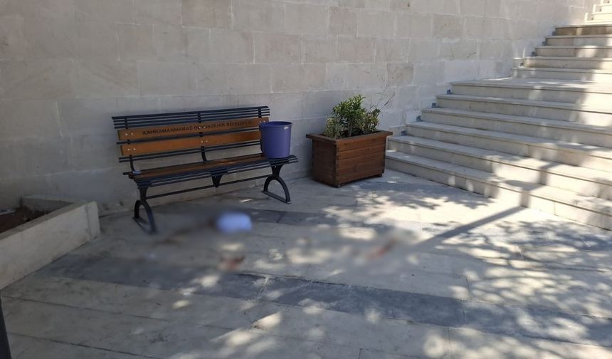 Kahramanmaraş’ta cami avlusunda int*h*r girişimi
