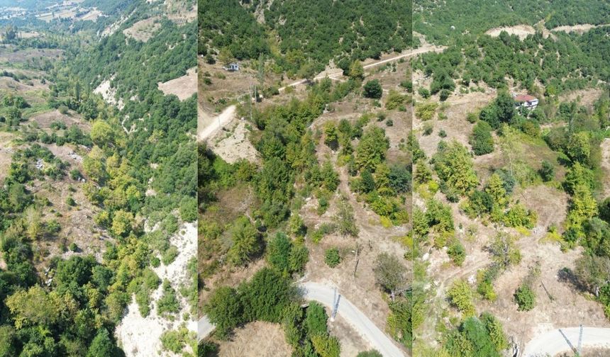 Sonbahar Kahramanmaraş’ın Ormanlarını Renk Cümbüşüne Çevirdi