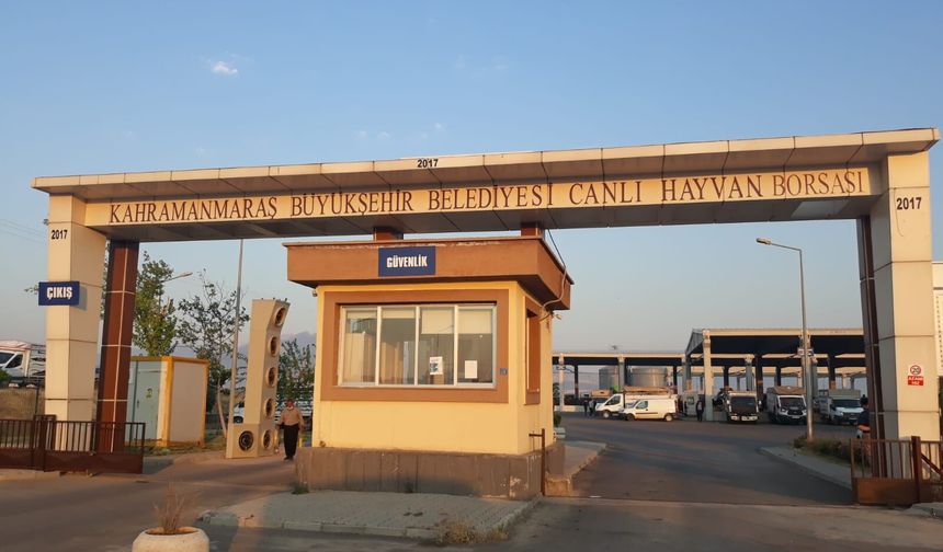 Kahramanmaraş’ta Canlı Hayvan Borsası geçici süreyle kapatıldı