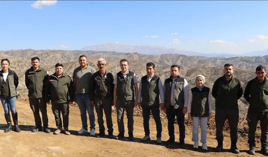 Kahramanmaraş’ta Yanan Ormanlar Yeniden Yeşeriyor