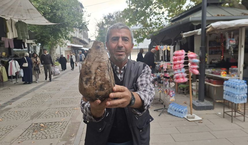 Şifa Deposu Şeker Pancarı Tezgâhlarda Yerini Aldı