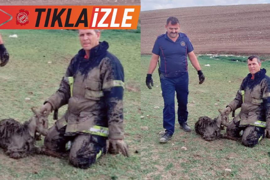 Kahramanmaraş'ta bataklığa saplanan keçi yavrusunu itfaiye kurtardı