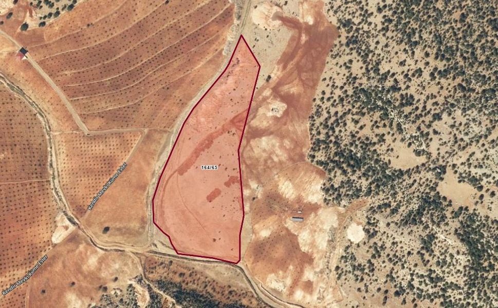 Kahramanmaraş’ta 48 dönümlük tarlanın yarı hissesi satışa çıktı