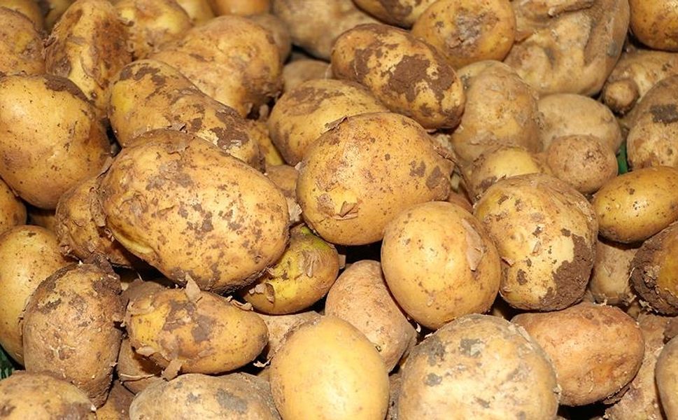 Ticaret Bakanlığından patates fiyatlarına ilişkin açıklama