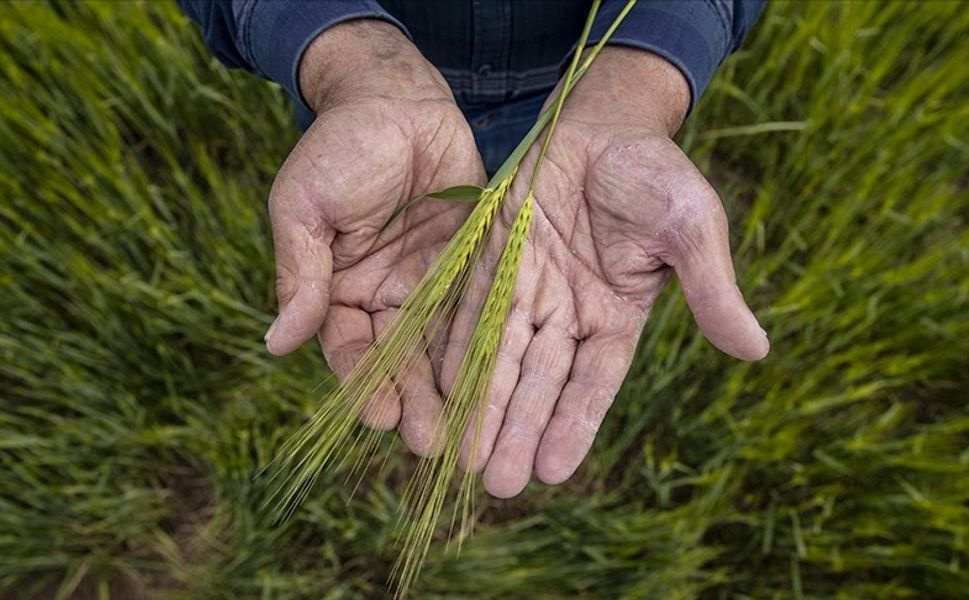 Kahramanmaraş’ta Çiftçilere 711 Milyon TL Tarımsal Destek Ödemesi