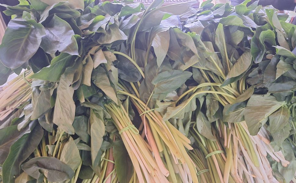 Kahramanmaraş’ın şifalı lezzeti tirşik otunun fiyatı ne kadar?