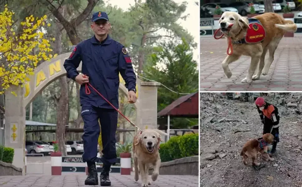 JAK köpeği 'Ocak', 8 yılda 48 can kurtardı
