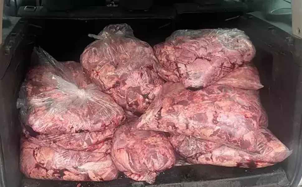 Hafif ticari araçta 450 kilo bozuk et ele geçirildi