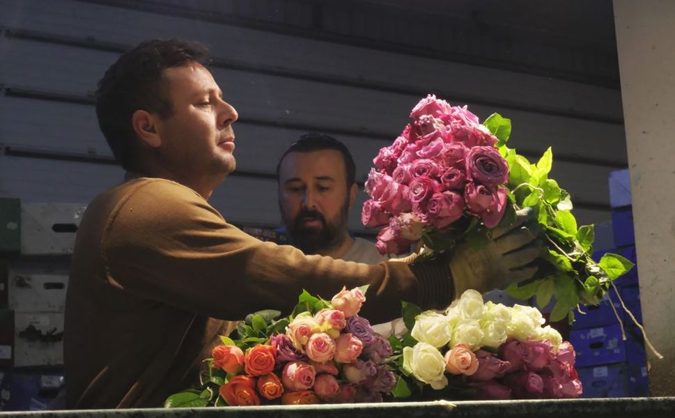 Çukurova'da çiçekler Sevgililer Günü'ne hazır