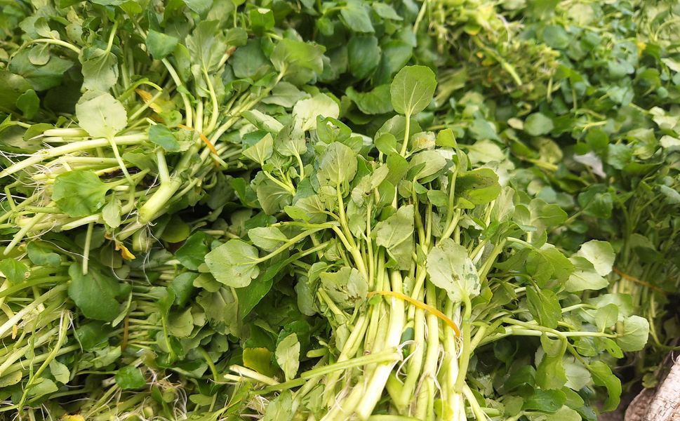 Kahramanmaraş’ın Doğal Lezzeti Ispatan Tezgahlarda: Demeti 25 TL