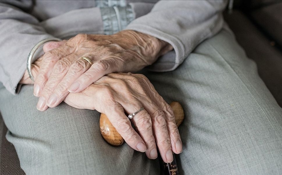 Türkiye'de 100 yaşına merdiven dayayan 244 bine yakın "çınar" yaşıyor