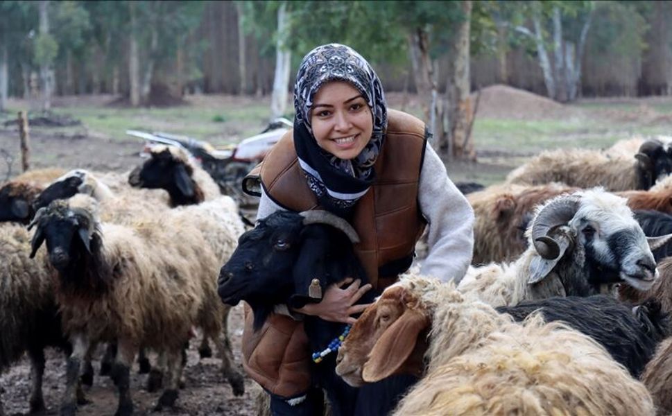Depremde hayvanları ölen üniversite öğrencisi kadın, devlet desteğiyle besiciliği sürdürüyor