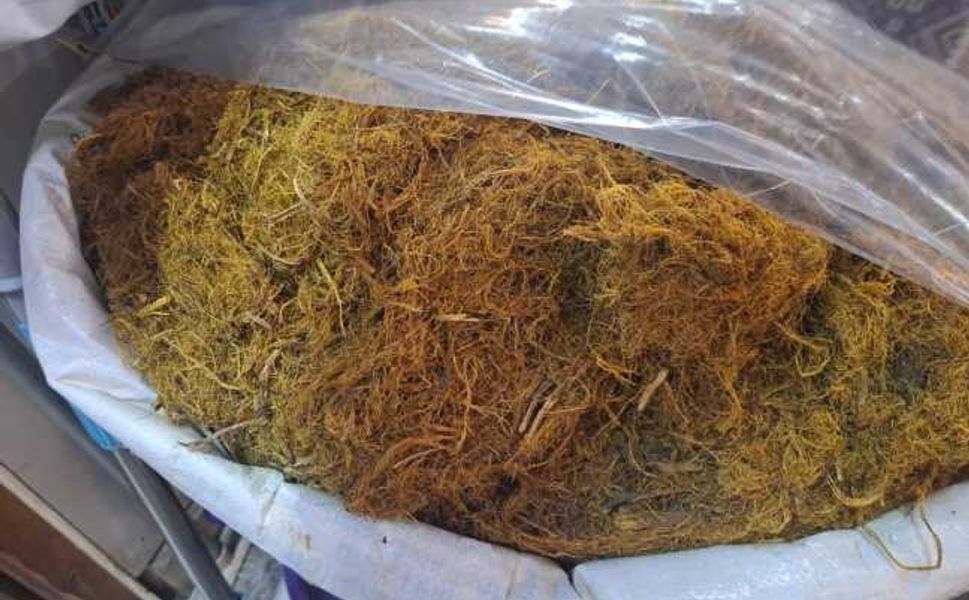 Ramazan ayının vazgeçilmezi mayam raflarda