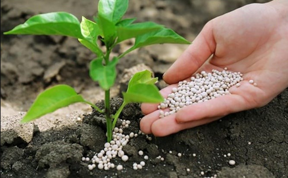 Kahramanmaraş’ta Amonyum Nitrat Gübresi Yeniden Kullanımda