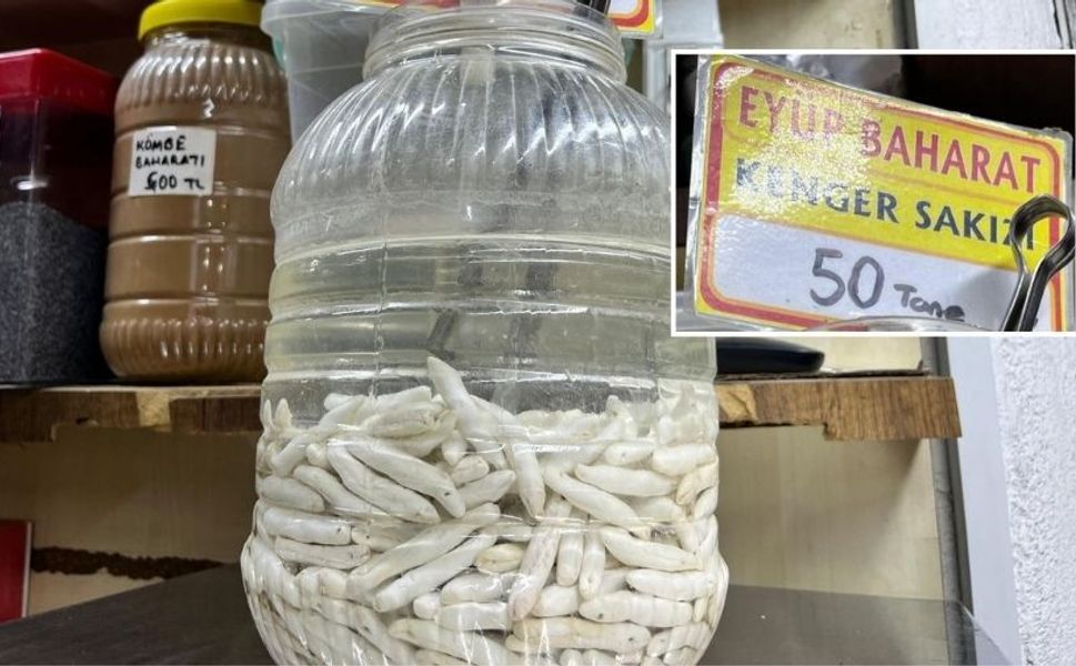 Kahramanmaraş’ın Dağlarından Gelen Şifa