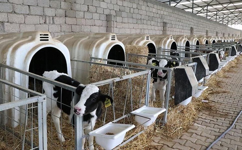 Kahramanmaraş’ta Üreme Verimliliği Eğitimi Devam Ediyor