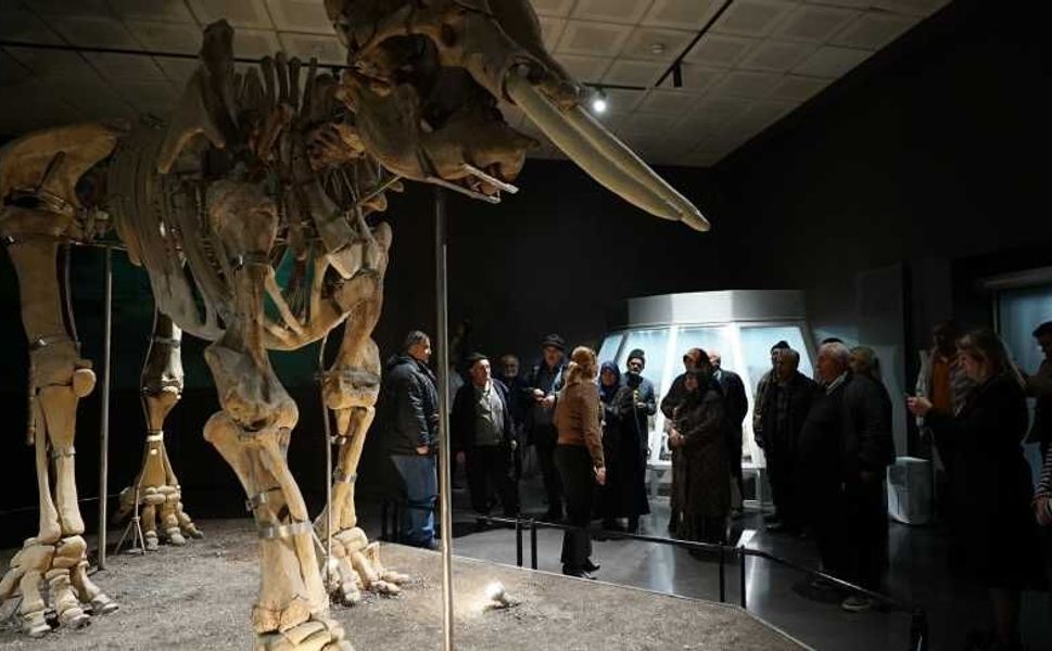 Büyükşehir, Ulu Çınarları Tarihle Buluşturdu