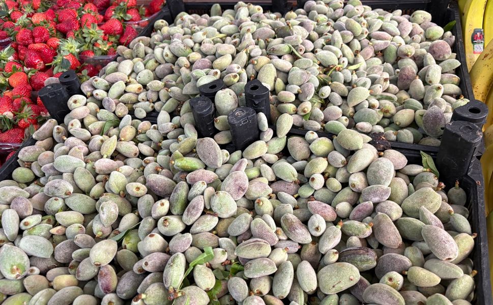 Kahramanmaraş’ta çağla sezonu başladı, fiyatı ne kadar?