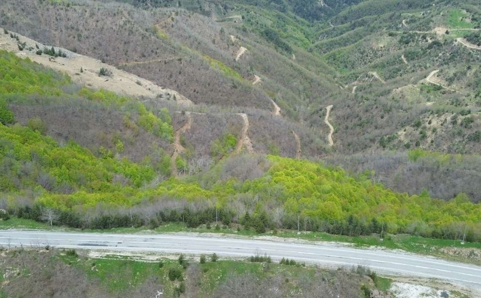 Kahramanmaraş’ta ormanlar baharla canlandı