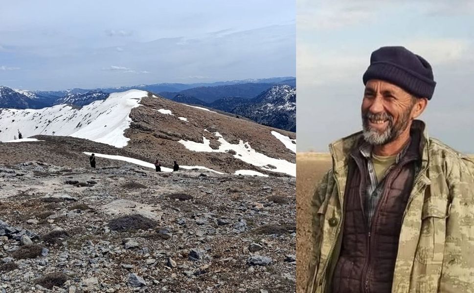 Çiriş bitkisi toplarken öldü