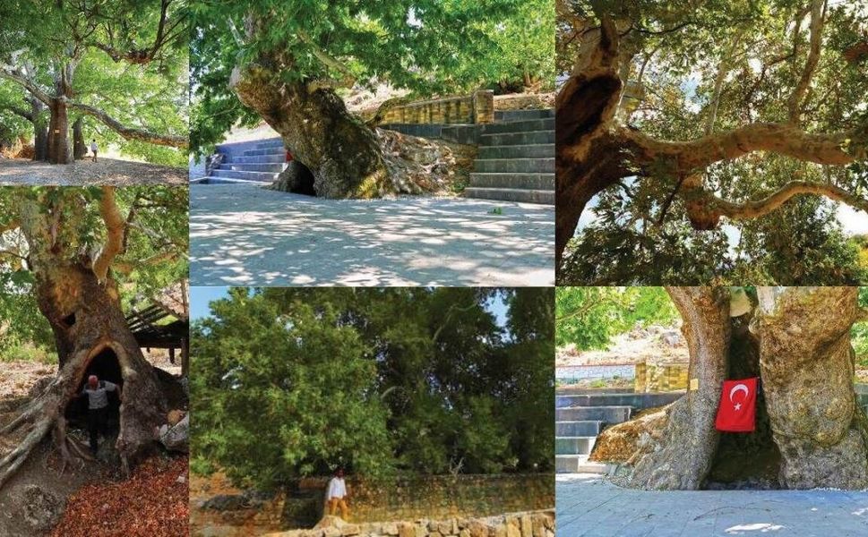 Kahramanmaraş’ın zamana meydan okuyan devleri