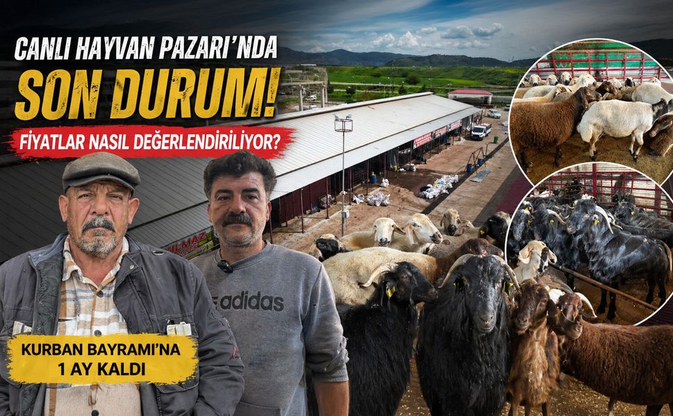 Canlı Hayvan Pazarı’nda son durum, açıklanan fiyatlar nasıl değerlendiriliyor?