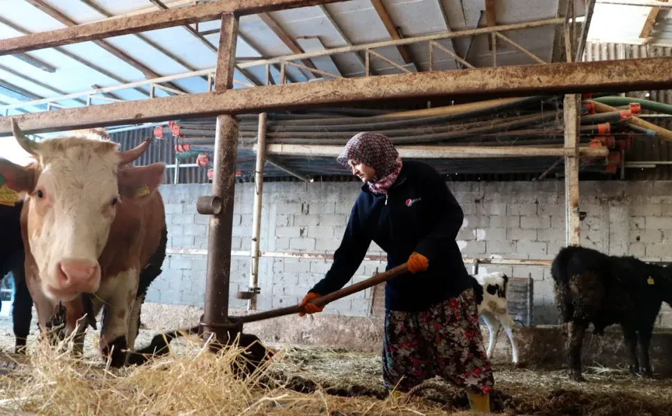Kahramanmaraşlı gençler için çiftlik kurulacak, 84 bin TL maaş ödenecek