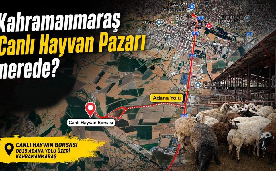 Kahramanmaraş Canlı Hayvan Pazarı nerede?