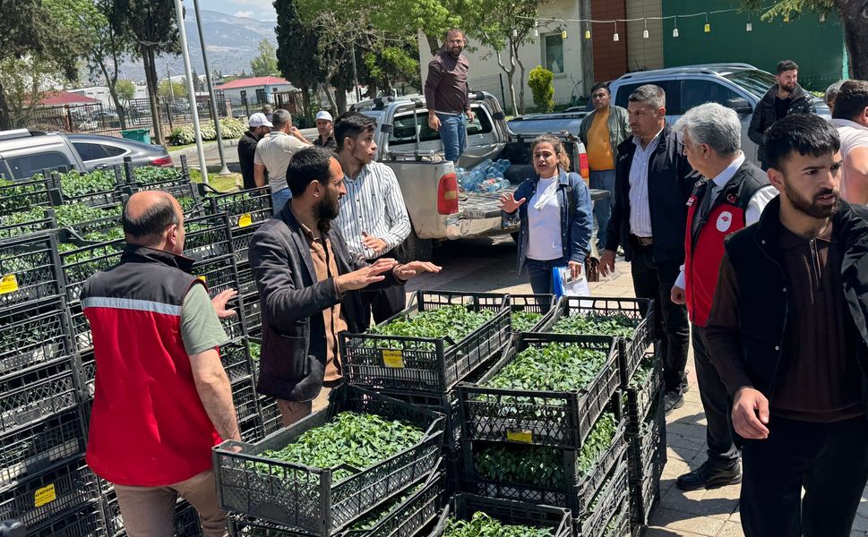 Kahramanmaraş’ta Çiftçiye Dev Destek 650 Bin Fide Ücretsiz Dağıtıldı