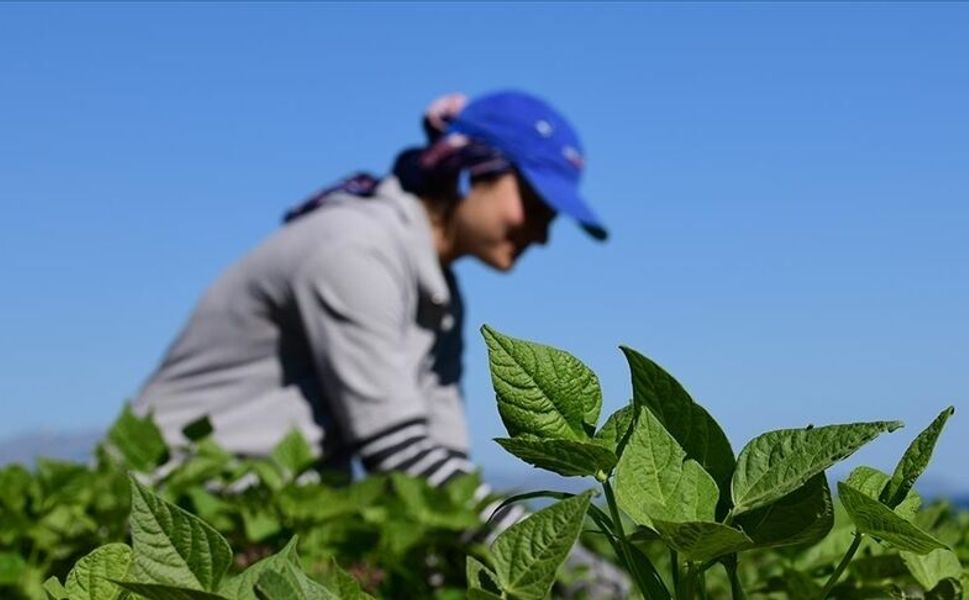 Kahramanmaraş’ta Kırsal Kalkınmaya Dev Destek