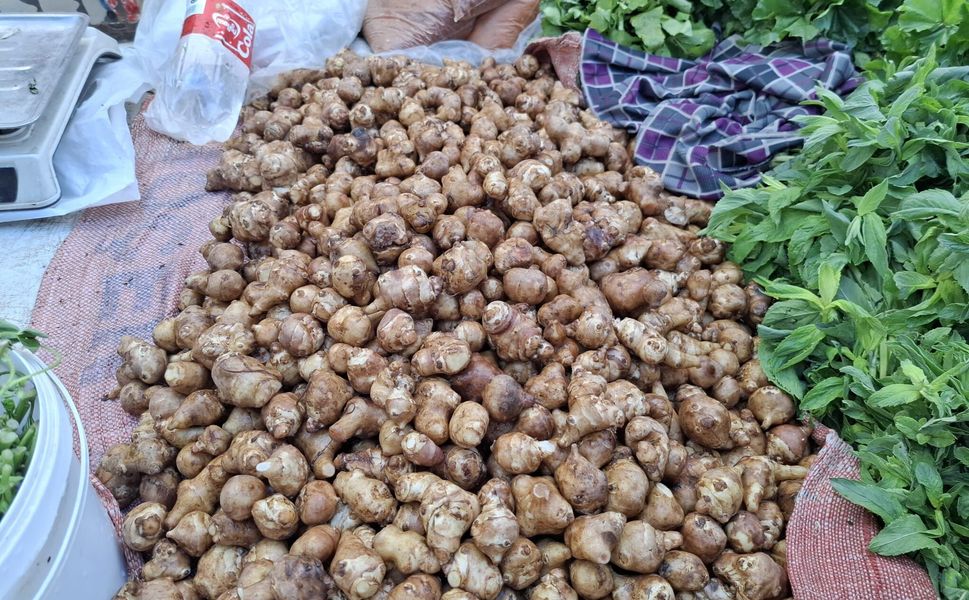 Kahramanmaraş’ta Yer Elması Tezgahlarda; İşte Fiyatı