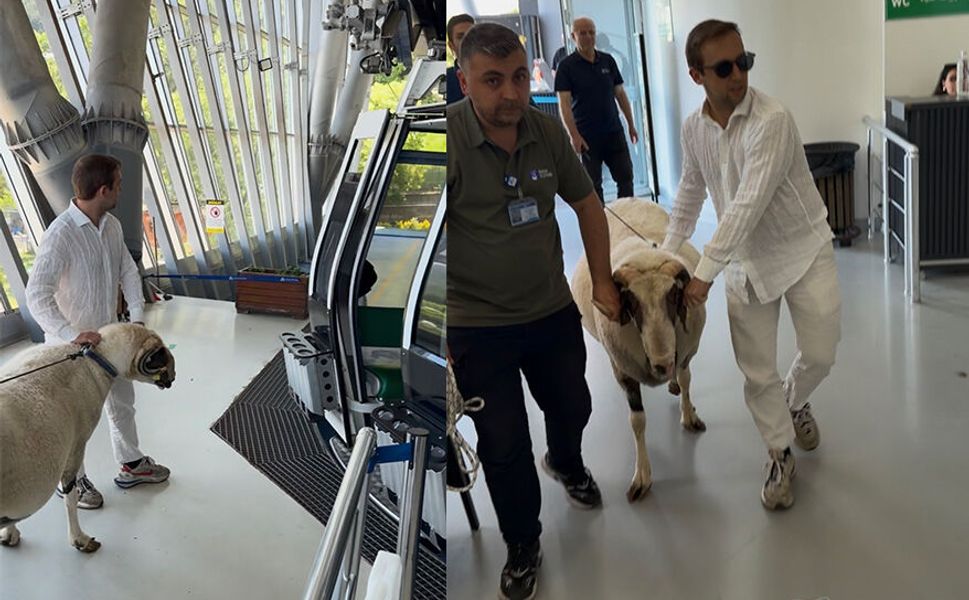 Bayramda keseceği koçla teleferik keyfi yaptı!