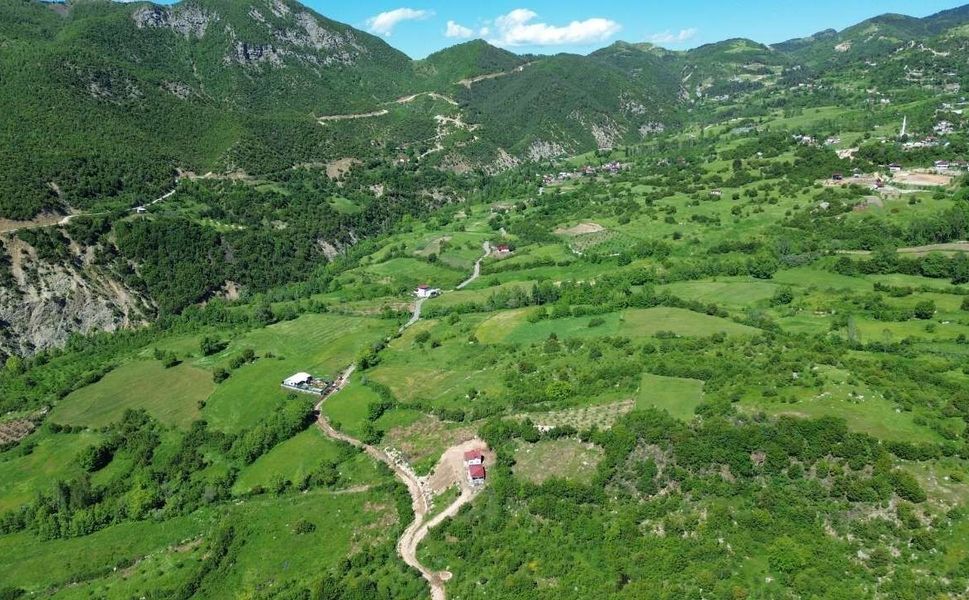Kahramanmaraş’ta kış ve bahar yağışları sonrası dağlar yeşile boyandı