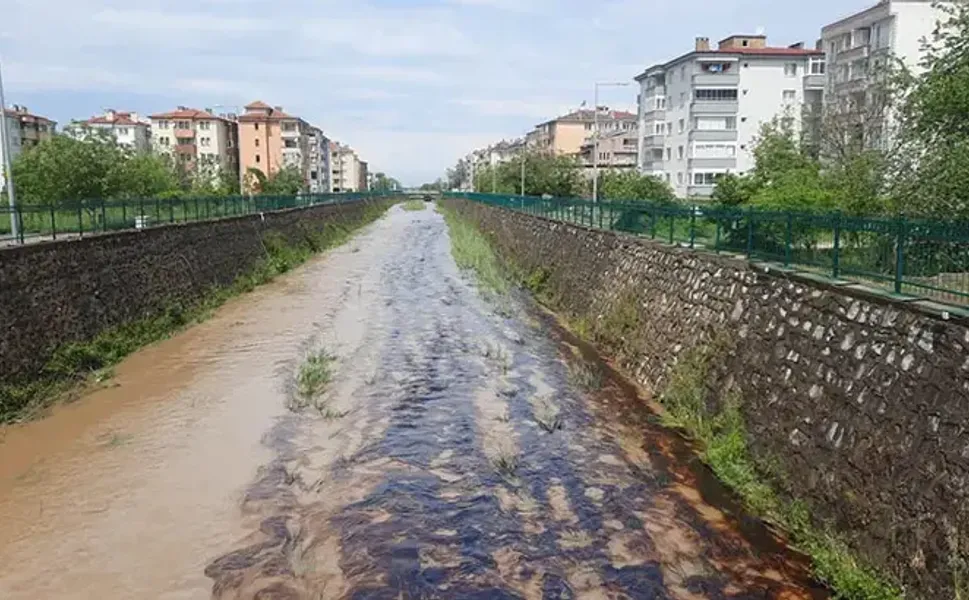 Kastamonu'da dereye kimyasal atık karıştı