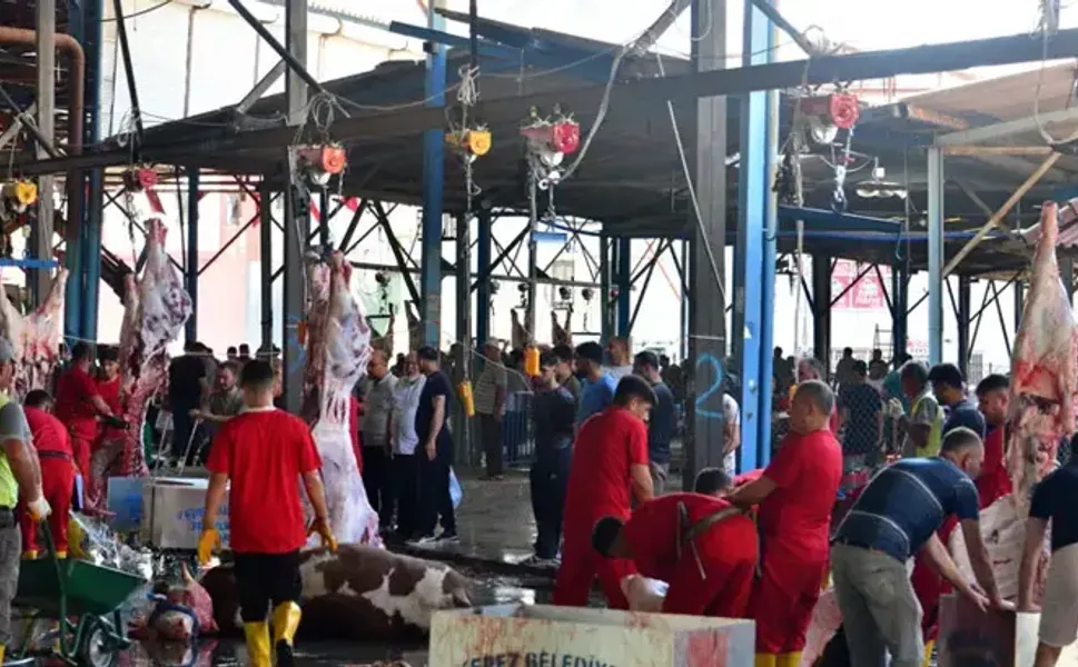 Sokakta kurban kesip, atıklarını gömenlere 29 bin 529 lira ceza